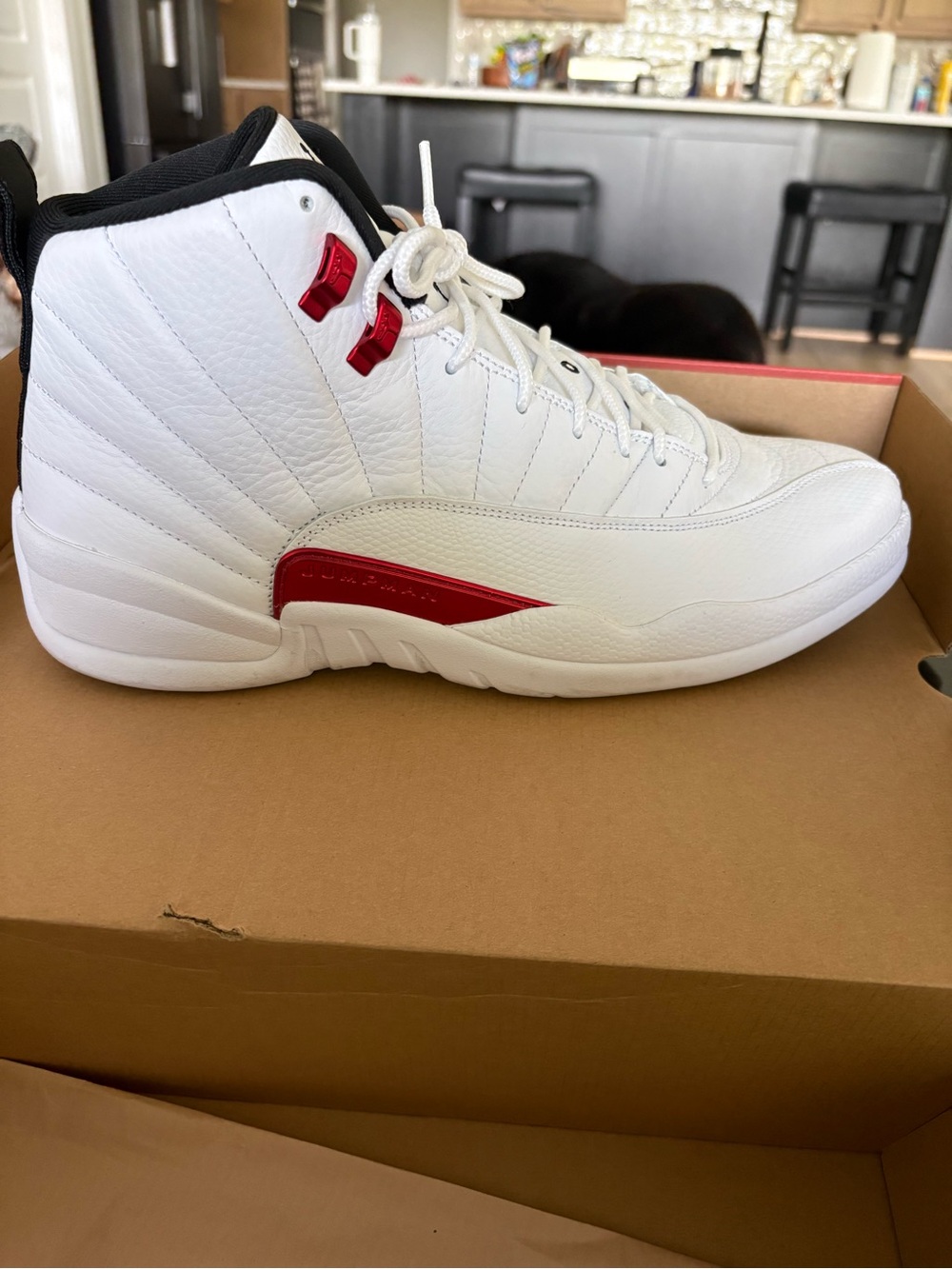 Jordan 12 Twist (2021) Size 13